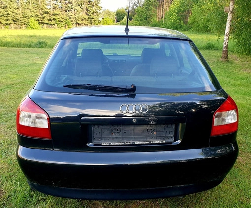 Audi A3 cena 7700 przebieg: 186322, rok produkcji 2002 z Szydłowiec małe 56